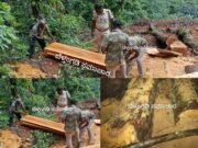 ಬೆಳ್ತಂಗಡಿ : ಅಕ್ರಮವಾಗಿ ಸರಕಾರಿ ಜಾಗದಲ್ಲಿ ಮರ ಕಡಿಯುವಾಗ ಅರಣ್ಯ ಇಲಾಖೆ ದಾಳಿ ಪ್ರಕರಣ ದಾಖಲು