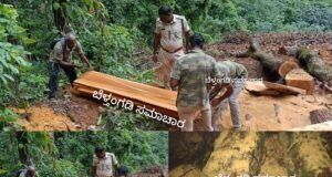 ಬೆಳ್ತಂಗಡಿ : ಅಕ್ರಮವಾಗಿ ಸರಕಾರಿ ಜಾಗದಲ್ಲಿ ಮರ ಕಡಿಯುವಾಗ ಅರಣ್ಯ ಇಲಾಖೆ ದಾಳಿ ಪ್ರಕರಣ ದಾಖಲು