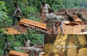 ಬೆಳ್ತಂಗಡಿ : ಅಕ್ರಮವಾಗಿ ಸರಕಾರಿ ಜಾಗದಲ್ಲಿ ಮರ ಕಡಿಯುವಾಗ ಅರಣ್ಯ ಇಲಾಖೆ ದಾಳಿ ಪ್ರಕರಣ ದಾಖಲು