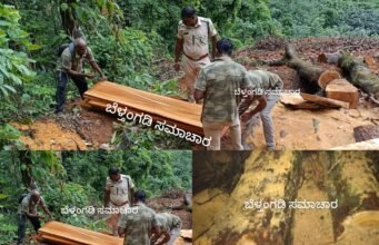 ಬೆಳ್ತಂಗಡಿ : ಅಕ್ರಮವಾಗಿ ಸರಕಾರಿ ಜಾಗದಲ್ಲಿ ಮರ ಕಡಿಯುವಾಗ ಅರಣ್ಯ ಇಲಾಖೆ ದಾಳಿ ಪ್ರಕರಣ ದಾಖಲು