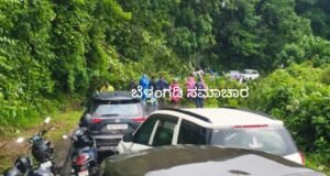 ಚಾರ್ಮಾಡಿ ಘಾಟಿ ಐದನೇ ತಿರುವಿನಲ್ಲಿ ಕಾರಿನ ಮೇಲೆ ಬಿದ್ದ ಮರ ಕಾರಿಗೆ ಹಾನಿ