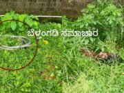 ಬೆಳ್ತಂಗಡಿ : ಕುವೆಟ್ಟು ಮುಸ್ತಾಕ್ ಅನುಮಾ ನಾಸ್ಪದ ಸಾವು ಪ್ರಕರಣಕ್ಕೆ ತಿರುವು, ಮತ್ತೊಂದು ಪ್ರಕರಣ ದಾಖಲು