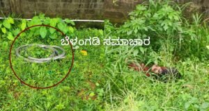 ಬೆಳ್ತಂಗಡಿ : ಕುವೆಟ್ಟು ಮುಸ್ತಾಕ್ ಅನುಮಾ ನಾಸ್ಪದ ಸಾವು ಪ್ರಕರಣಕ್ಕೆ ತಿರುವು, ಮತ್ತೊಂದು ಪ್ರಕರಣ ದಾಖಲು
