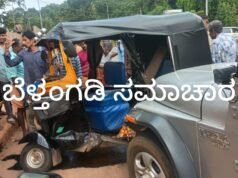 ಬೆಳ್ತಂಗಡಿ; ಮುಂಡಾಜೆ ರಿಕ್ಷಾ ಜೀಪ್ ನಡುವೆ ಅಪಘಾತ ರಿಕ್ಷಾ ಚಾಲಕನಿಗೆ ಗಾಯ