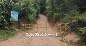 ದಿಡುಪೆ- ಸಂಸೆ ರಸ್ತೆಯಲ್ಲಿ ಅನಧಿಕೃತ ಸಂಚಾರ: ದಂಡದ ರುಚಿ ತೋರಿಸಿದ ಅರಣ್ಯ ಇಲಾಖೆ