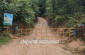 ದಿಡುಪೆ- ಸಂಸೆ ರಸ್ತೆಯಲ್ಲಿ ಅನಧಿಕೃತ ಸಂಚಾರ: ದಂಡದ ರುಚಿ ತೋರಿಸಿದ ಅರಣ್ಯ ಇಲಾಖೆ