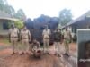 ಬೆಳ್ತಂಗಡಿ : ಅಕ್ರಮವಾಗಿ ಮರ ಕಡಿದು ಸಾಗಾಟ ಪ್ರಕರಣ ಲಾರಿ ಸೇರಿದಂತೆ ಮರ ವಶಕ್ಕೆ ಇಬ್ಬರ ವಿರುದ್ದ ಪ್ರಕರಣ ದಾಖಲು