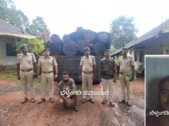 ಬೆಳ್ತಂಗಡಿ : ಅಕ್ರಮವಾಗಿ ಮರ ಕಡಿದು ಸಾಗಾಟ ಪ್ರಕರಣ ಲಾರಿ ಸೇರಿದಂತೆ ಮರ ವಶಕ್ಕೆ ಇಬ್ಬರ ವಿರುದ್ದ ಪ್ರಕರಣ ದಾಖಲು
