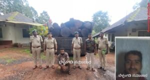 ಬೆಳ್ತಂಗಡಿ : ಅಕ್ರಮವಾಗಿ ಮರ ಕಡಿದು ಸಾಗಾಟ ಪ್ರಕರಣ ಲಾರಿ ಸೇರಿದಂತೆ ಮರ ವಶಕ್ಕೆ ಇಬ್ಬರ ವಿರುದ್ದ ಪ್ರಕರಣ ದಾಖಲು