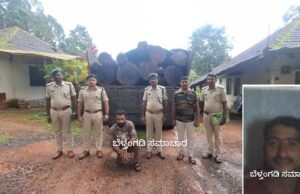 ಬೆಳ್ತಂಗಡಿ : ಅಕ್ರಮವಾಗಿ ಮರ ಕಡಿದು ಸಾಗಾಟ ಪ್ರಕರಣ ಲಾರಿ ಸೇರಿದಂತೆ ಮರ ವಶಕ್ಕೆ ಇಬ್ಬರ ವಿರುದ್ದ ಪ್ರಕರಣ ದಾಖಲು