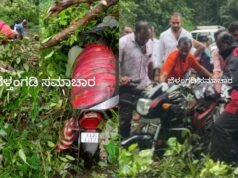 ಬೆಳ್ತಂಗಡಿ; ಅರಸಿನಮಕ್ಕಿಯಲ್ಲಿ ಚಲಿಸುತ್ತಿದ್ದ ಬೈಕ್ ಮೇಲೆಬಿದ್ದ ಮರ ಸವಾರ ಅಪಾಯದಿಂದ ಪಾರು
