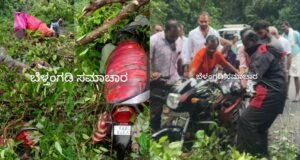 ಬೆಳ್ತಂಗಡಿ; ಅರಸಿನಮಕ್ಕಿಯಲ್ಲಿ ಚಲಿಸುತ್ತಿದ್ದ ಬೈಕ್ ಮೇಲೆಬಿದ್ದ ಮರ ಸವಾರ ಅಪಾಯದಿಂದ ಪಾರು