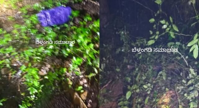 ಬೆಳ್ತಂಗಡಿ; ರೆಖ್ಯದಲ್ಲಿ ಕಾಡಾನೆ ದಾಳಿ ಶಂಕೆ ವ್ಯಕ್ತಿಯ ಮೃತದೇಹ ಪತ್ತೆ
