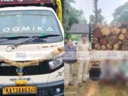 ಪುತ್ತೂರು : ಸಕಲೇಶಪುರದಿಂದ ಮಂಗಳೂರಿಗೆ ಅಕ್ರಮವಾಗಿ ಮರದ ದಿಮ್ಮಿ ಸಾಗಾಟ ಪತ್ತೆ ಆರೋಪಿಗಳ ಬಂಧನ