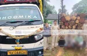 ಪುತ್ತೂರು : ಸಕಲೇಶಪುರದಿಂದ ಮಂಗಳೂರಿಗೆ ಅಕ್ರಮವಾಗಿ ಮರದ ದಿಮ್ಮಿ ಸಾಗಾಟ ಪತ್ತೆ ಆರೋಪಿಗಳ ಬಂಧನ