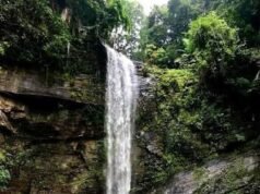 ಸೆ.7 ರಿಂದ ದಿಡುಪೆ ಜಲಪಾತ ವೀಕ್ಷಣೆಗೆ ಅವಕಾಶ