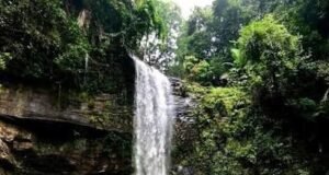 ಸೆ.7 ರಿಂದ ದಿಡುಪೆ ಜಲಪಾತ ವೀಕ್ಷಣೆಗೆ ಅವಕಾಶ
