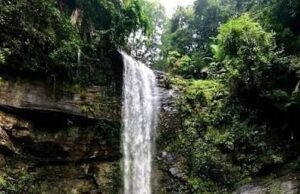 ಸೆ.7 ರಿಂದ ದಿಡುಪೆ ಜಲಪಾತ ವೀಕ್ಷಣೆಗೆ ಅವಕಾಶ