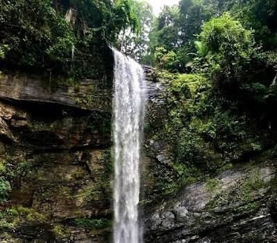 ಸೆ.7 ರಿಂದ ದಿಡುಪೆ ಜಲಪಾತ ವೀಕ್ಷಣೆಗೆ ಅವಕಾಶ