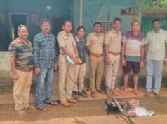 ಬೆಳ್ತಂಗಡಿ : ಕಾಡುಹಂದಿ ಬೇಟೆಯಾಡಿ ಮಾಂಸ ದಾಸ್ತಾನು- ಓರ್ವ ಆರೋಪಿ ಬಂಧನ