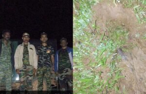 ಬೆಳಾಲು ಮುಖ್ಯ ರಸ್ತೆಯಲ್ಲಿ ಕಾಡಾನೆ ಪ್ರತ್ಯಕ್ಷ; ಬೈಕ್ ಸವಾರ ಅಪಾಯದಿಂದ ಪಾರು, ಅರಣ್ಯ ಇಲಾಖೆಯಿಂದ ಕಾರ್ಯಾಚರಣೆ