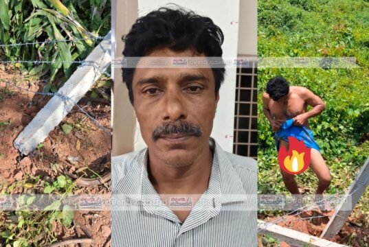 ವೇಣೂರು ; ದಲಿತ ಕುಟುಂಬದ ಜಾಗಕ್ಕೆ ಅಕ್ರಮ ಪ್ರವೇಶ ಬೇಲಿ ಕಿತ್ತೆಸೆದು ದಾಂಧಲೆ: ಪ್ರಶ್ನಿಸಿದ ಮಹಿಳೆ ಮುಂದೆ ಬಟ್ಟೆ ಎತ್ತಿ ಮರ್ಮಾಂಗ ಪ್ರದರ್ಶನ ಆರೋಪಿ ಬಂಧನ