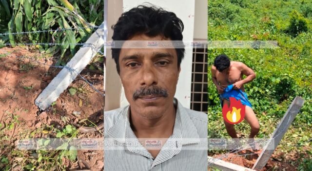ವೇಣೂರು ; ದಲಿತ ಕುಟುಂಬದ ಜಾಗಕ್ಕೆ ಅಕ್ರಮ ಪ್ರವೇಶ ಬೇಲಿ ಕಿತ್ತೆಸೆದು ದಾಂಧಲೆ: ಪ್ರಶ್ನಿಸಿದ ಮಹಿಳೆ ಮುಂದೆ ಬಟ್ಟೆ ಎತ್ತಿ ಮರ್ಮಾಂಗ ಪ್ರದರ್ಶನ ಆರೋಪಿ ಬಂಧನ