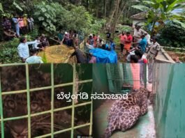 ಬೆಳ್ತಂಗಡಿ; ತೆರೆದ ಬಾವಿಗೆ ಬಿದ್ದ ಚಿರತೆಯ ರಕ್ಷಣೆ