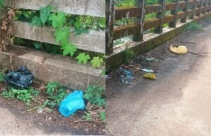 ಬೆಳ್ತಂಗಡಿ : ರಸ್ತೆ ಬದಿಯಲ್ಲಿ ಕಸ ಹಾಕಿದವರಿಗೆ ದಂಡ ಹಾಕಿದ ಲಾಯಿಲ ಗ್ರಾಮ ಪಂಚಾಯತ್