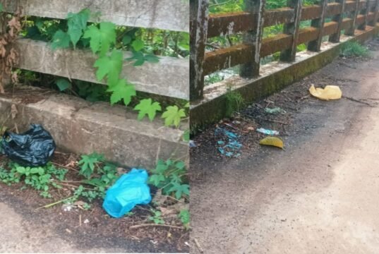 ಬೆಳ್ತಂಗಡಿ : ರಸ್ತೆ ಬದಿಯಲ್ಲಿ ಕಸ ಹಾಕಿದವರಿಗೆ ದಂಡ ಹಾಕಿದ ಲಾಯಿಲ ಗ್ರಾಮ ಪಂಚಾಯತ್