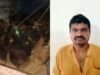 ಪುತ್ತೂರು ಅಕ್ರಮ ದನ ಸಾಗಾಟ ಪತ್ತೆ;ಮಾರಾಟ ಮಾಡಿದಆರೋಪ ವ್ಯಕ್ತಿ ಬಂಧನ