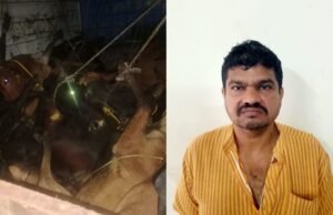 ಪುತ್ತೂರು ಅಕ್ರಮ ದನ ಸಾಗಾಟ ಪತ್ತೆ;ಮಾರಾಟ ಮಾಡಿದಆರೋಪ ವ್ಯಕ್ತಿ ಬಂಧನ