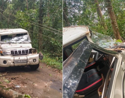 ಬೆಳಾಲು ಕೂಡೋಳು ಕೆರೆಯಲ್ಲಿ ಮರ ಬಿದ್ದು ವಾಹನಕ್ಕೆ ಹಾನಿ ಚಾಲಕ ಅಪಾಯದಿಂದ ಪಾರು