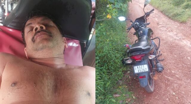 ಉಜಿರೆ ಬೈಕ್ ನಲ್ಲಿ ಹೋಗುತ್ತಿದ್ದ ವೇಳೆ ಹೆಜ್ಜೇನು ಕಡಿತದಿಂದ ವ್ಯಕ್ತಿ ತೀವ್ರ ಅಸ್ವಸ್ಥ